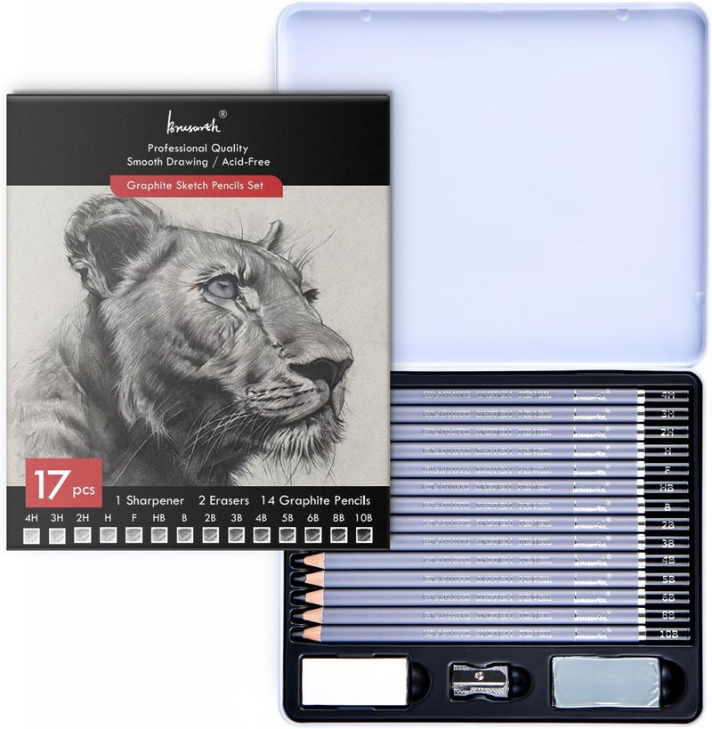 Brusarth Professional Sketch Pencils for Drawing Set - Graphite Pencils (4H-10B), Graphite Sticks, Erasers and Sharpener, Art Pencils for Sketching- Ideal for Artists and Beginners,17Pcs - Image 1